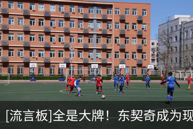 [流言板]全是大牌！东契奇成为现役第十位单场出现11次失误的球员